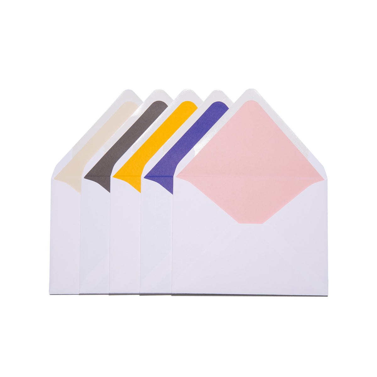 Wild Notecards